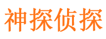 田家庵婚外情调查